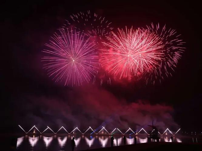 日照市建市三十周年奋进之歌——兰焰火网络献礼