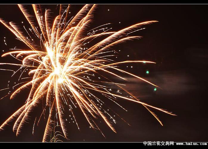 除夕焰火,音乐喷泉,祝兰友们春节快乐!